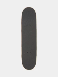 Antihero Skateboard Pigeon Close Up