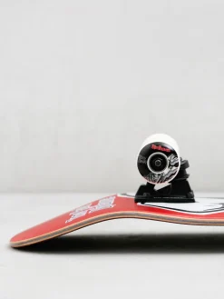 Birdhouse Hawk Falcon 2 Skateboard