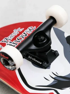Birdhouse Hawk Falcon 2 Skateboard