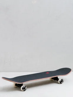 Birdhouse Hawk Skull 2 Chrome Skateboard