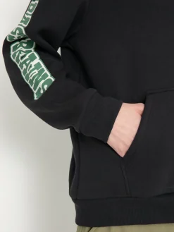 Brixton Hoodie Bass Brains Swim HD