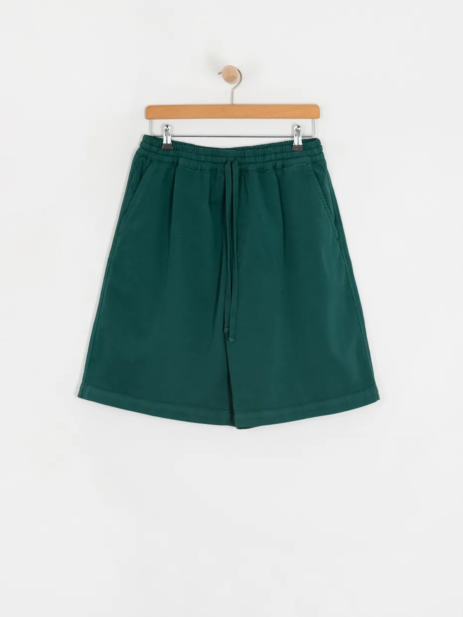 Carhartt WIP Floyde Shorts