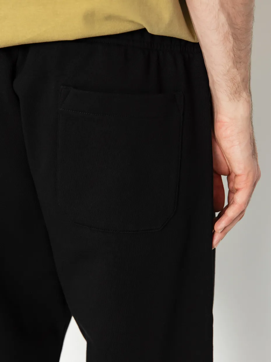 Carhartt WIP Pants Chase