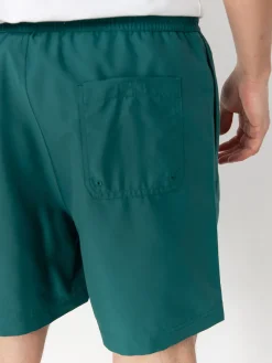 Carhartt WIP Shorts Chase Swim
