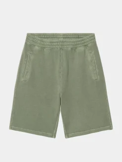 Carhartt WIP Shorts Nelson
