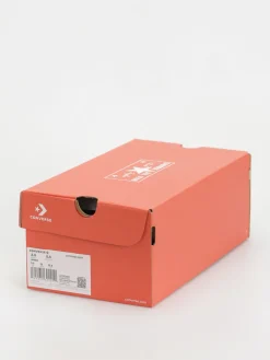 Converse Chuck 70 Hi Chucks