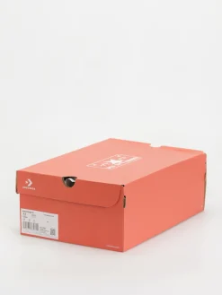 Converse Chuck 70 Hi Chucks