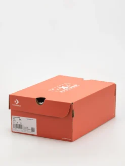 Converse Chuck 70 Hi Chucks