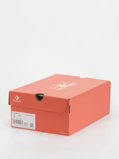 Converse Chuck 70 Hi Chucks