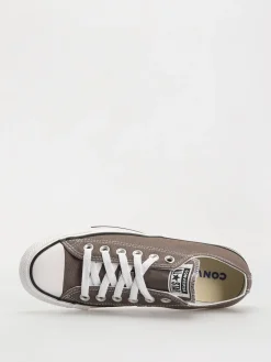 Converse Chucks Chuck Taylor All Star Seasonal OX