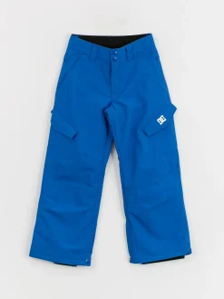 DC Banshee JR Snowboard pants