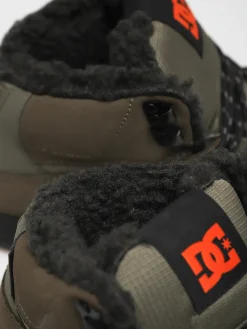 DC Pure High Top Wc Wnt Shoes