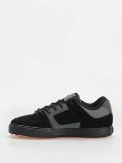 DC Pure Wnt Shoes