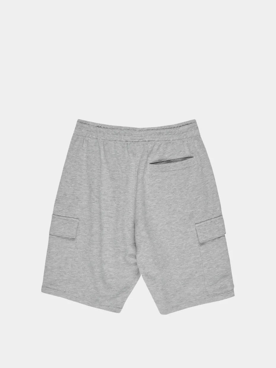 DC Shorts Millenia Cargo