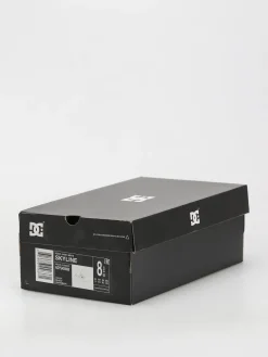 DC Skyline Shoes