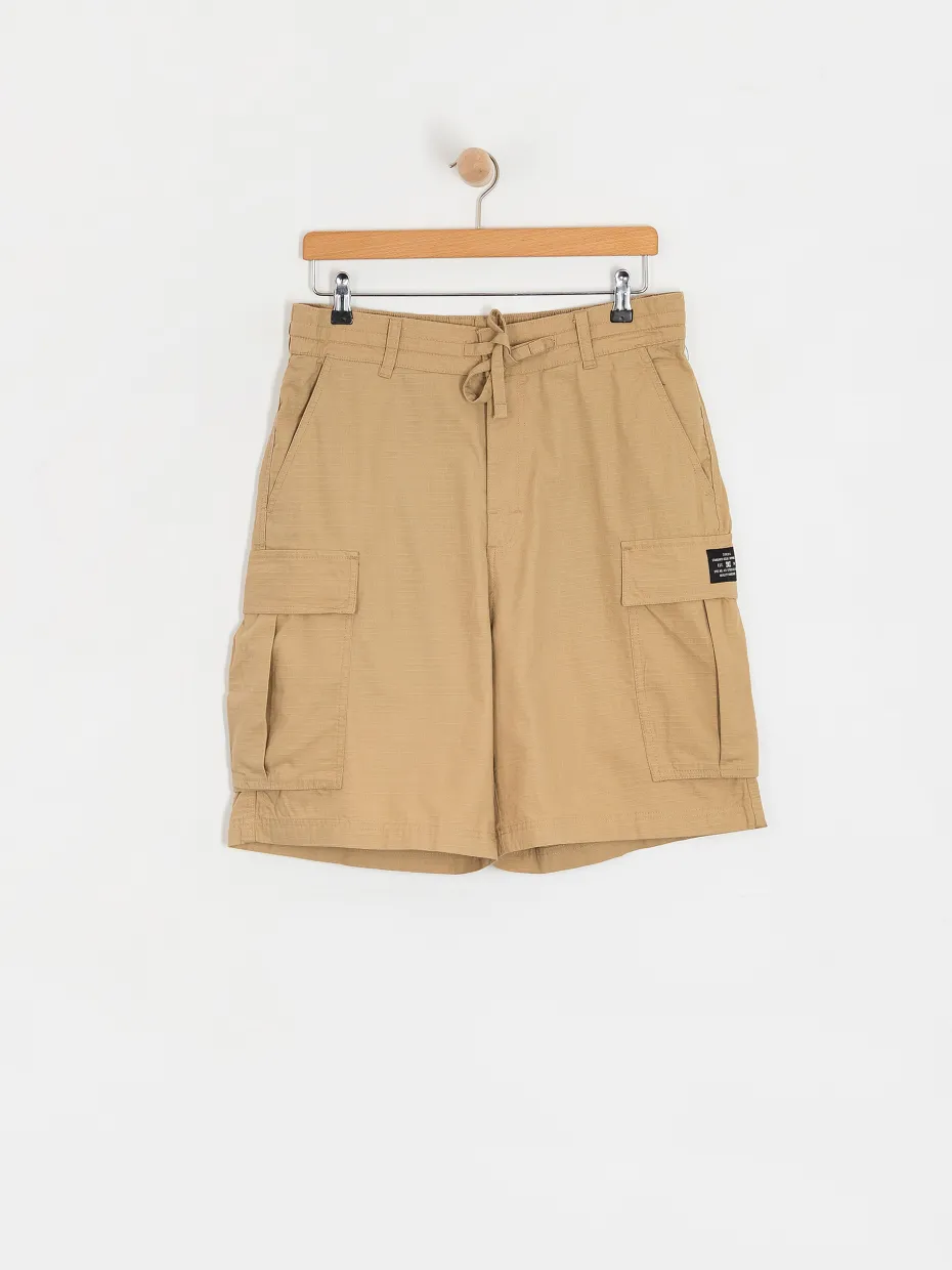 DC Tundra Cargo Shorts