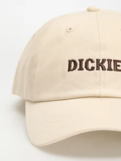 Dickies Hays Cap