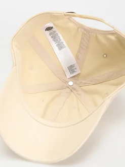 Dickies Hays Cap