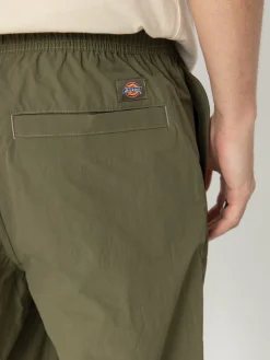 Dickies Pants Jackson Cargo