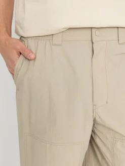 Dickies Pants Jackson Cargo