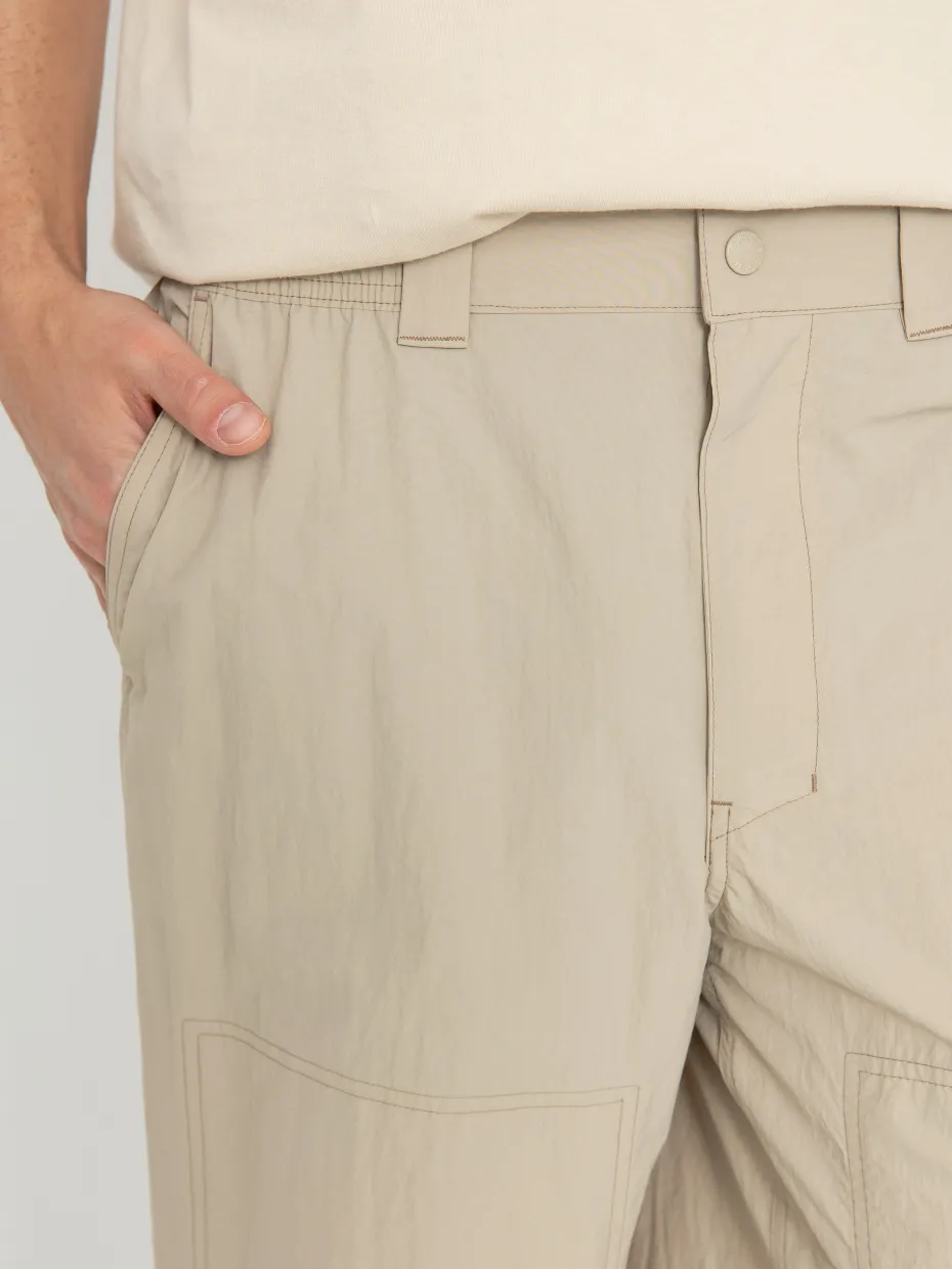 Dickies Pants Jackson Cargo