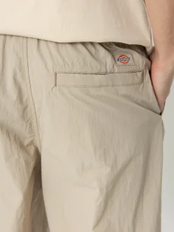 Dickies Pants Jackson Cargo