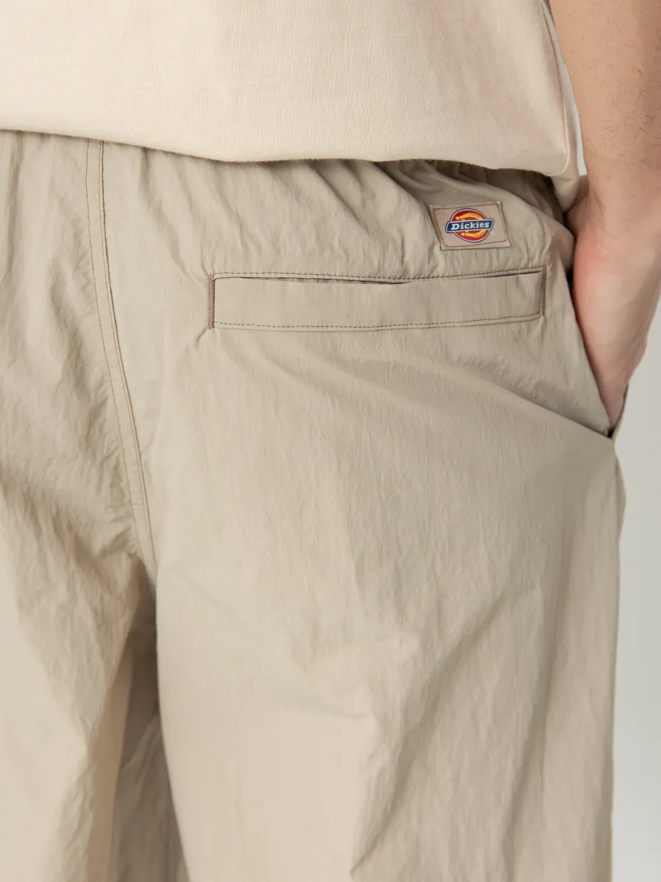 Dickies Pants Jackson Cargo