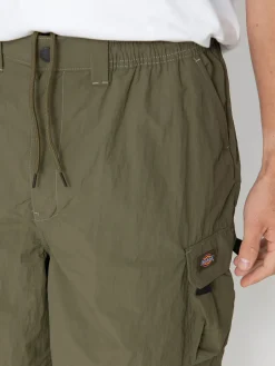 Dickies Shorts Jackson Cargo