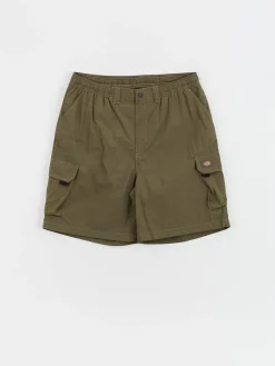 Dickies Shorts Jackson Cargo