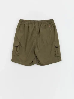 Dickies Shorts Jackson Cargo