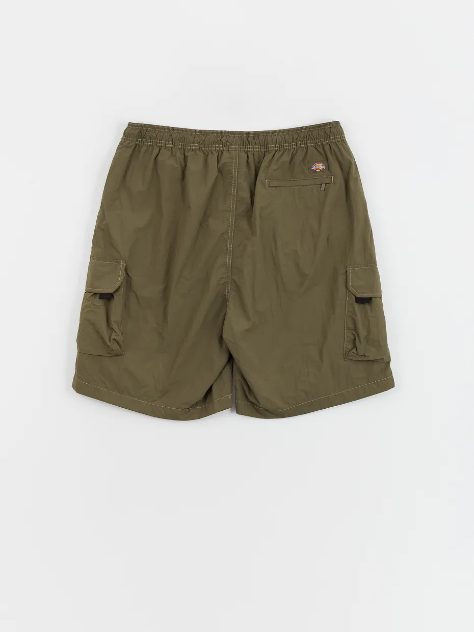 Dickies Shorts Jackson Cargo