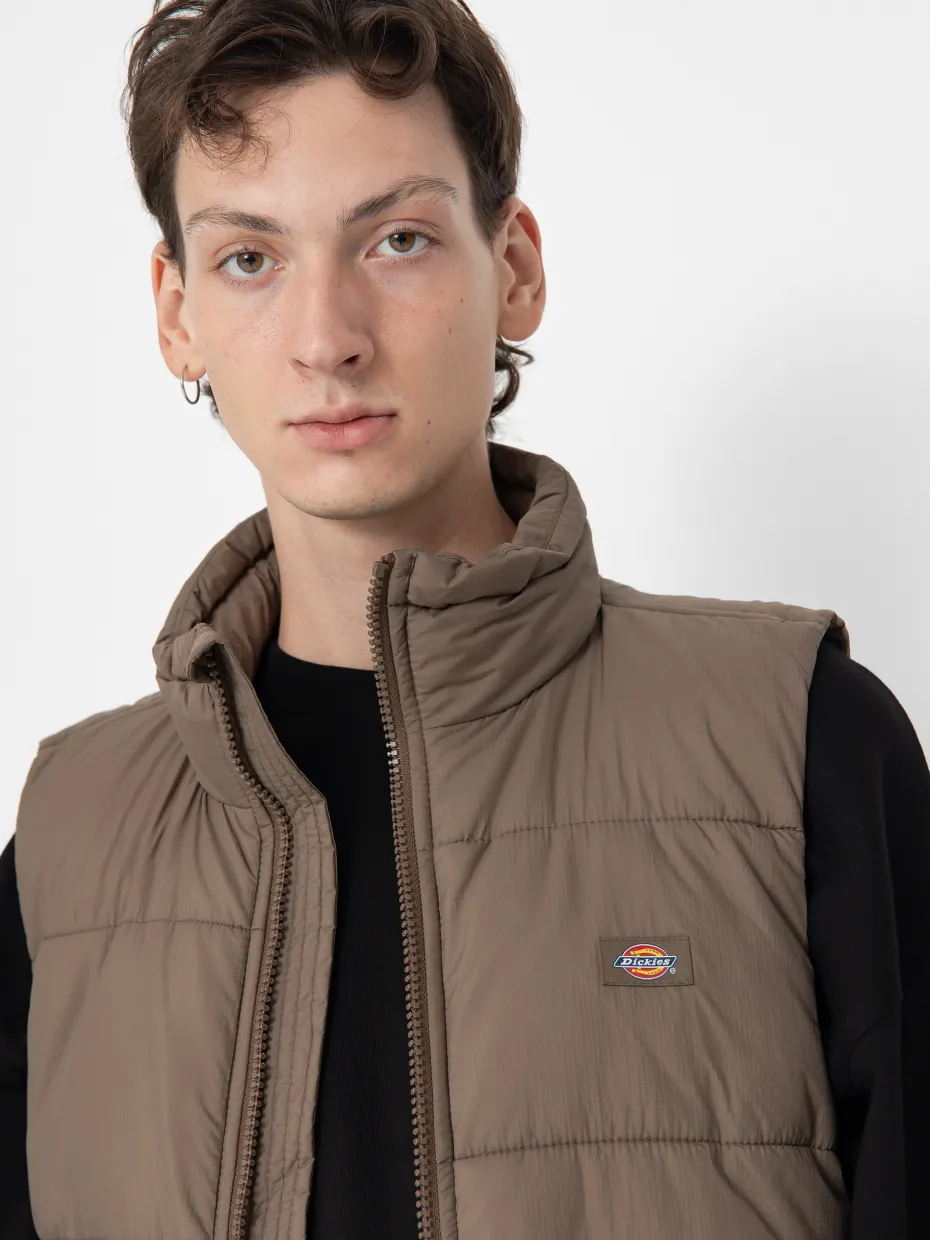 Dickies Waldenburg Vest