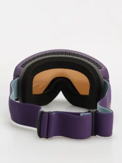 Dragon NFX2 Goggles