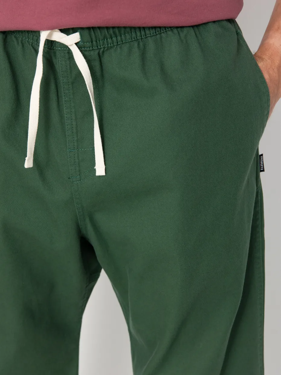 Element Chillin Twill Pants