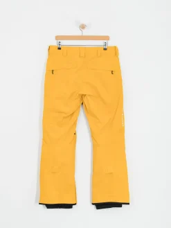 Mens Burton Snowboard pants Ak Gore Tex Cyclic