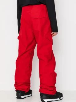 Mens DC Snowboard pants Banshee