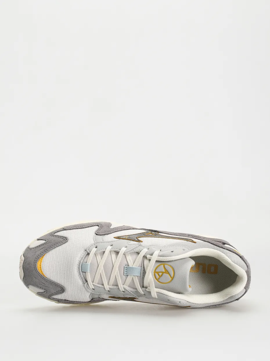 Mizuno Shoes Wave Rider 10