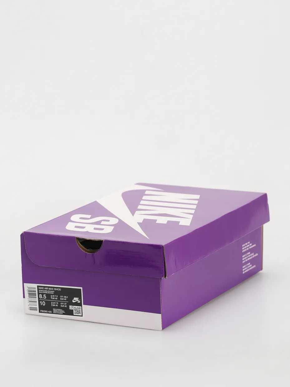 Nike SB Air Max Ishod Shoes