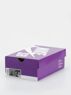 Nike SB Air Max Ishod Shoes