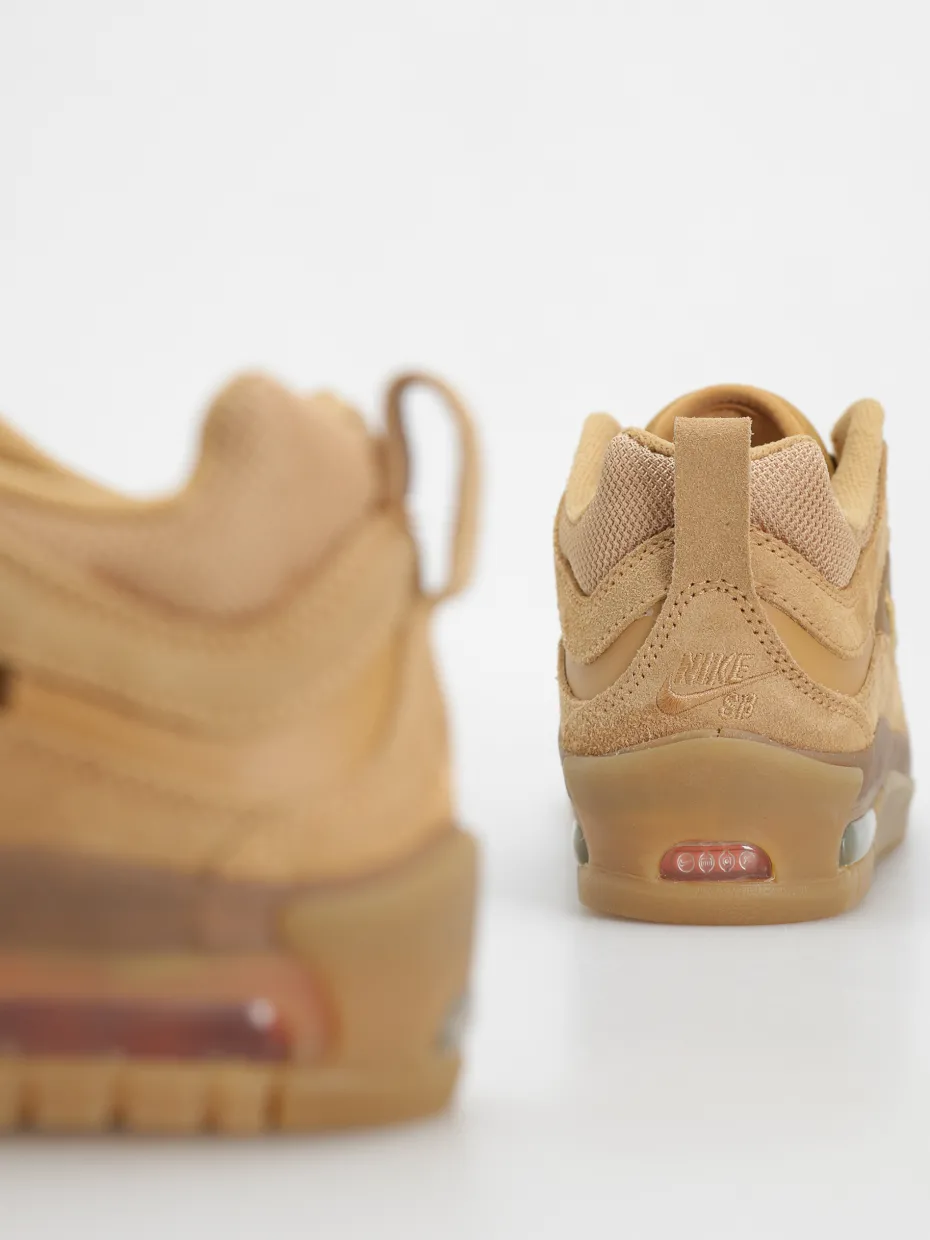 Nike SB Air Max Ishod Shoes