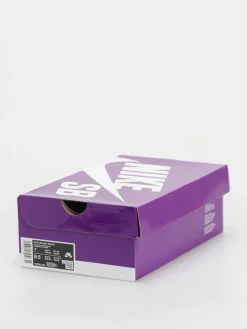 Nike SB Air Max Ishod Shoes
