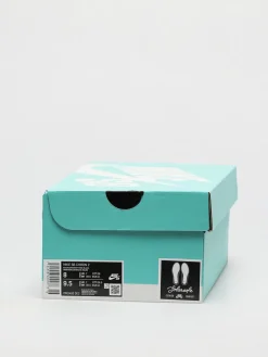 Nike SB Chron 2 Shoes