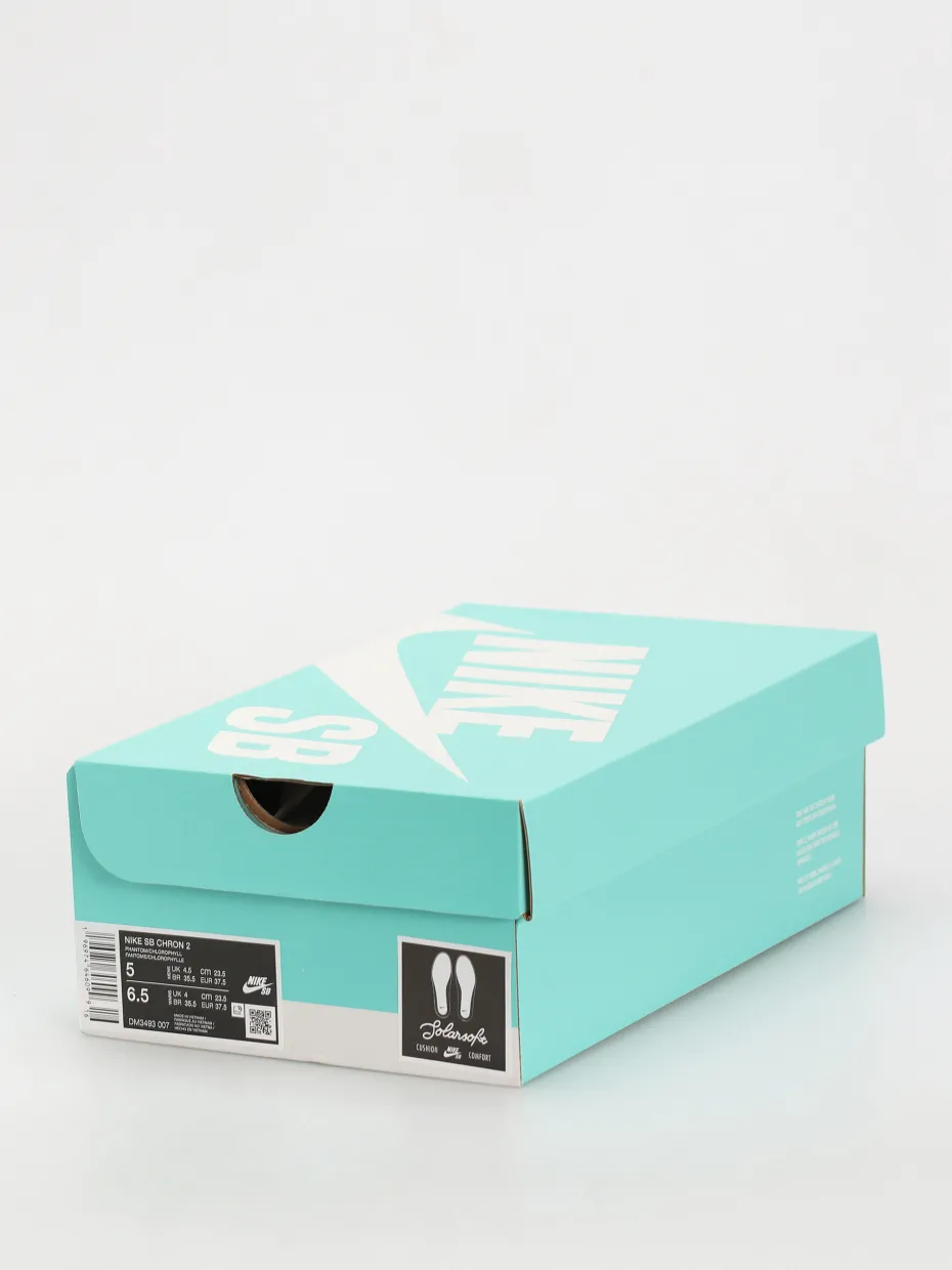 Nike SB Chron 2 Shoes
