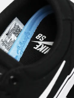 Nike SB Chron 2 Shoes
