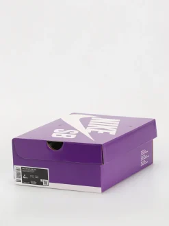 Nike SB Day One JR Shoes