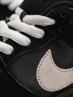 Nike SB Dunk Low Pro Shoes