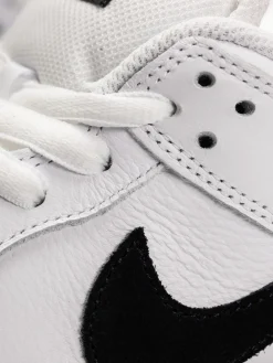 Nike SB Dunk Low Pro Shoes