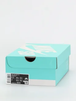 Nike SB Force 58 Shoes