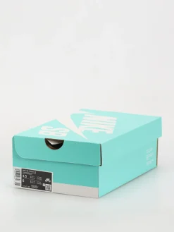 Nike SB Force 58 Shoes