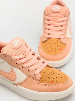 Nike SB Force 58 Shoes